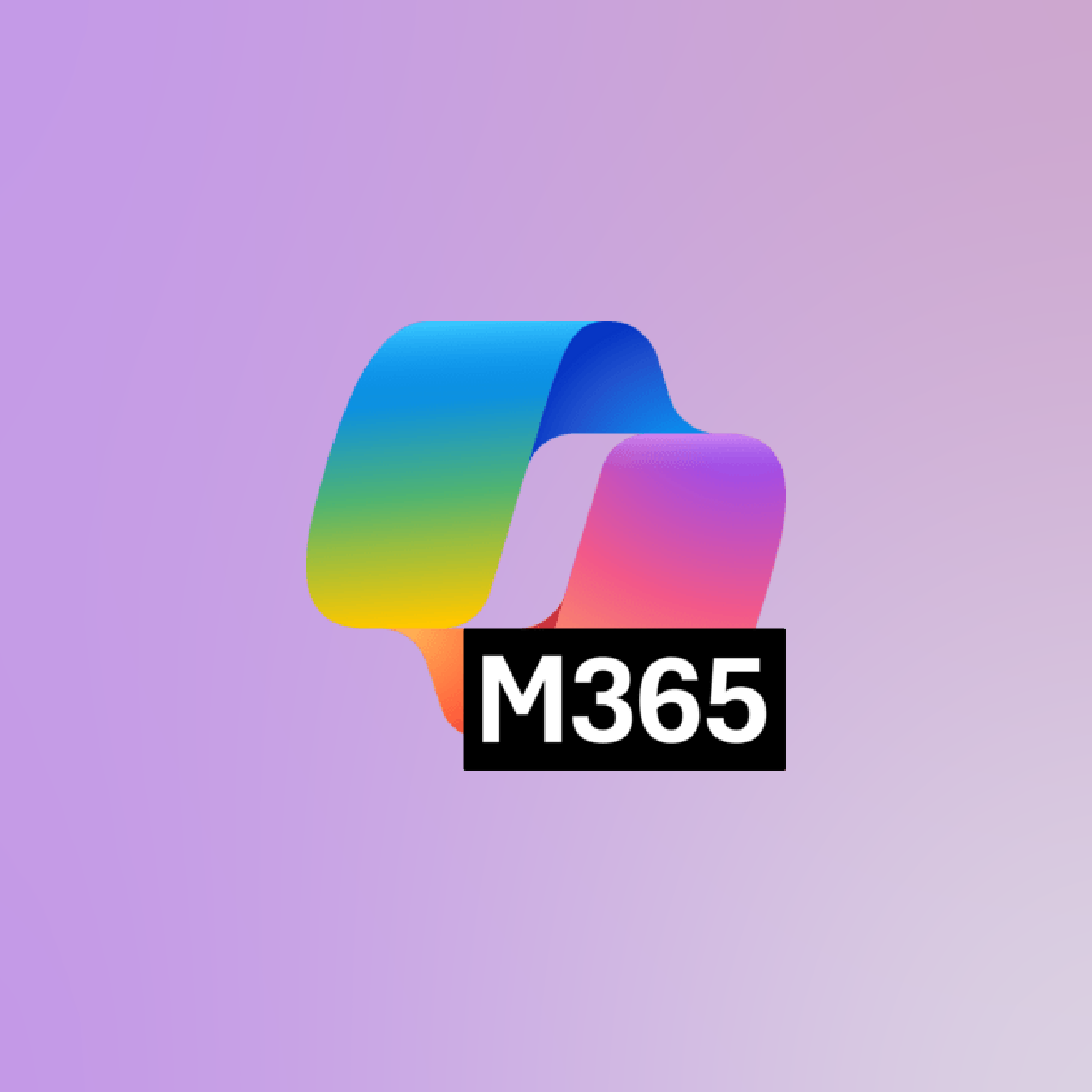 MS 365